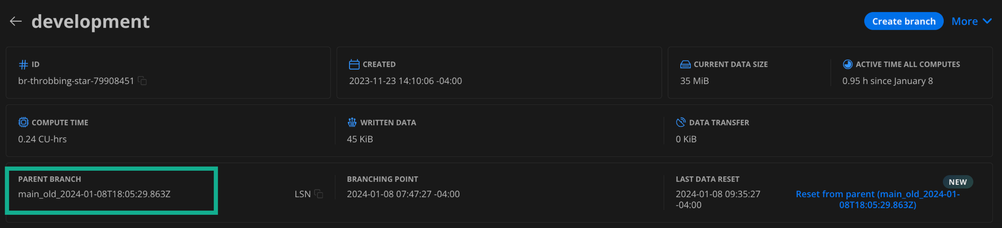 Backup branch created after restore